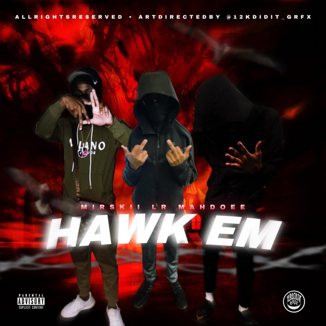 Hawk Em cover art