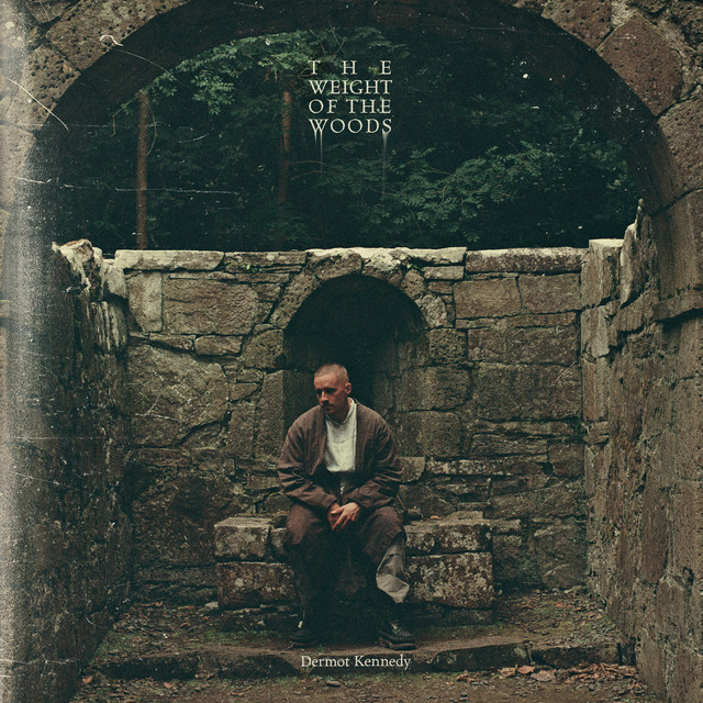 The Weight of the Woods cover art