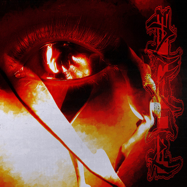 Yerself Is Fire cover art