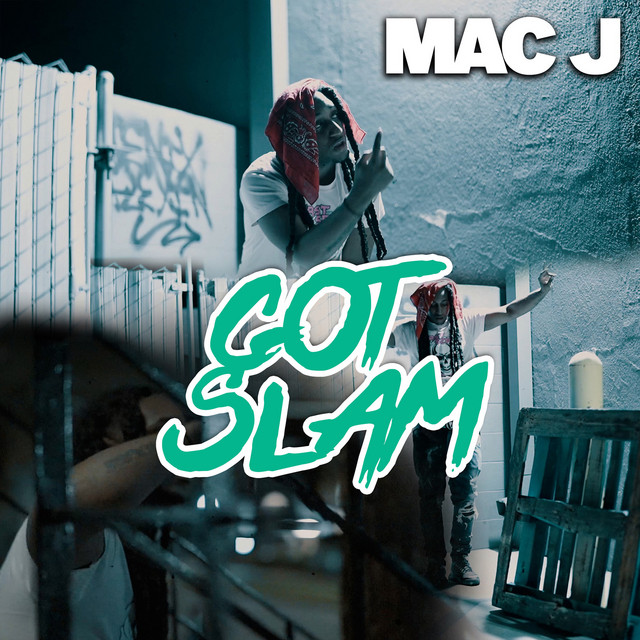 Got Slam cover art