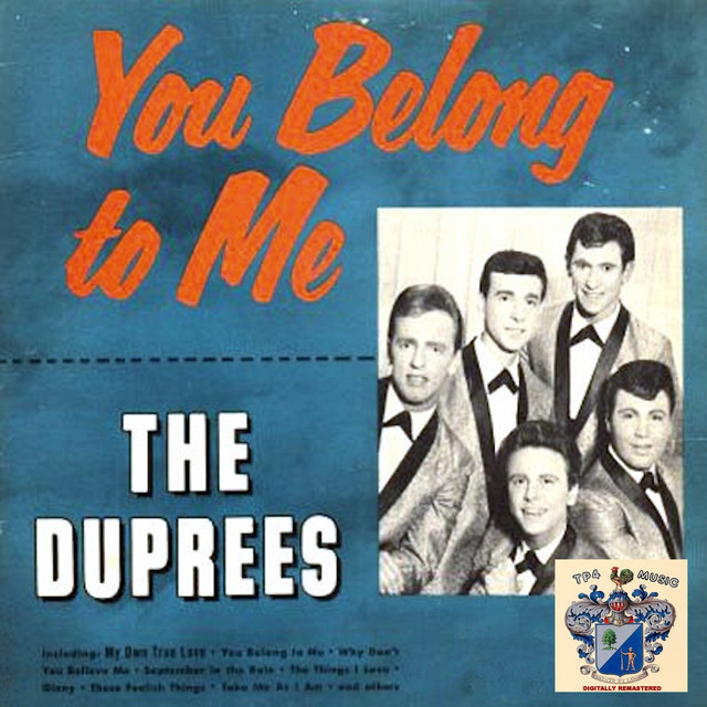 You Belong to Me cover art