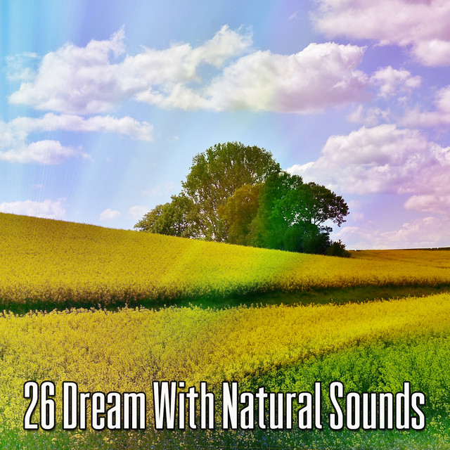 26 Dream With Natural Sounds - Album by Sleep Sounds of Nature | Spotify
