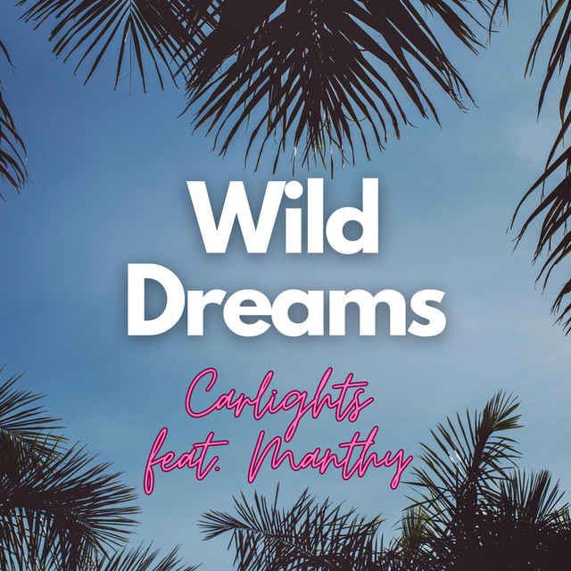 Wild Dreams cover