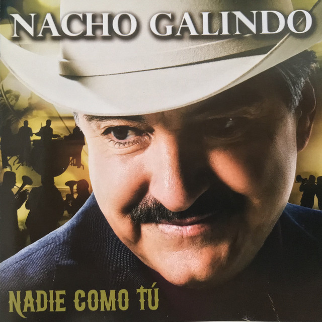 Nadie Como Tu cover art