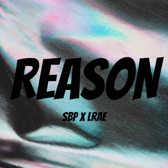 Reason cover art