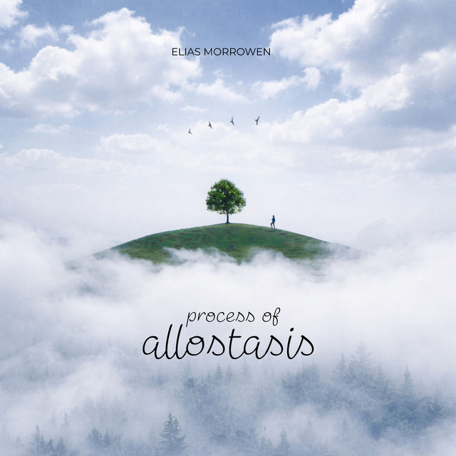 Process of Allostasis album image