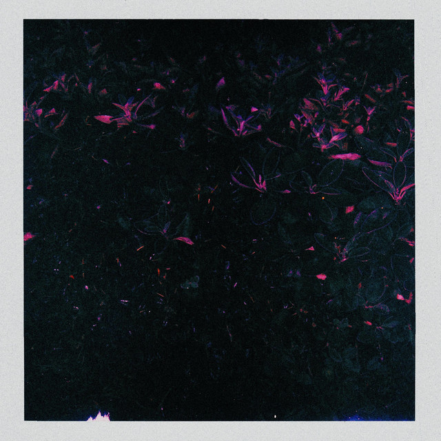 Indigo cover art