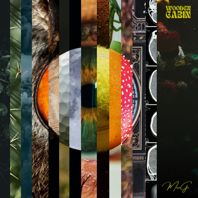 Man Go cover art