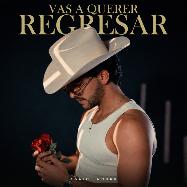 Vas A Querer Regresar