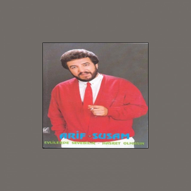 Evlilerde Sevebilir - Hasret Olmasın cover art