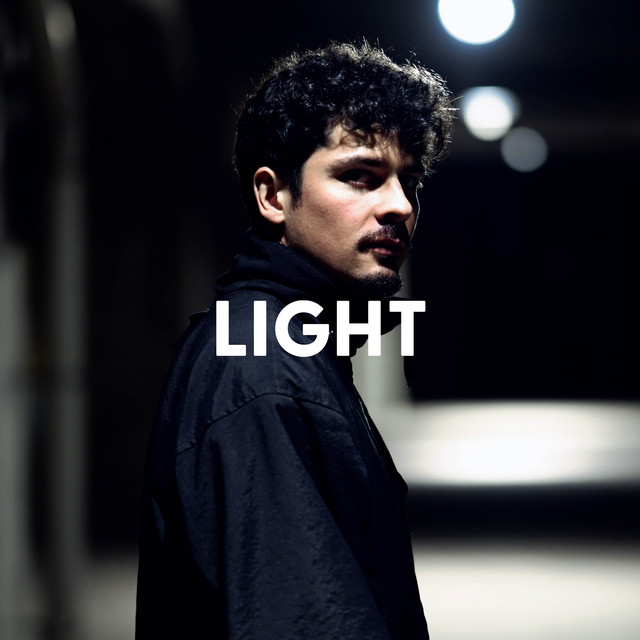 Light cover art