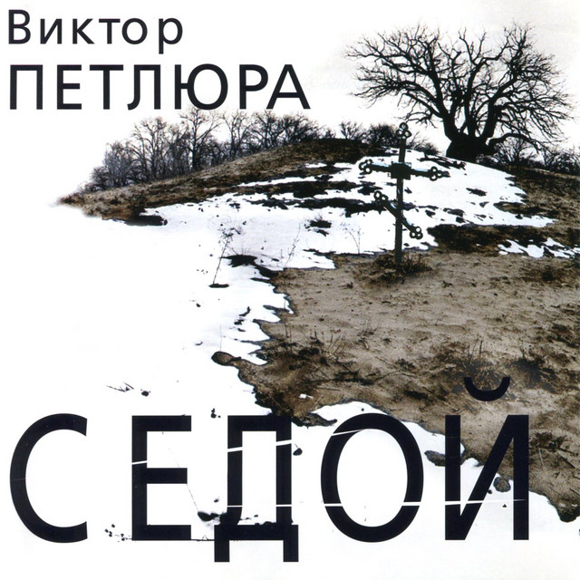 Седой cover art