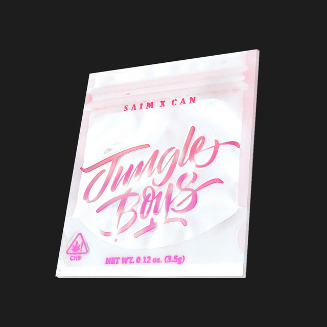 JUNGLE BOYS cover art