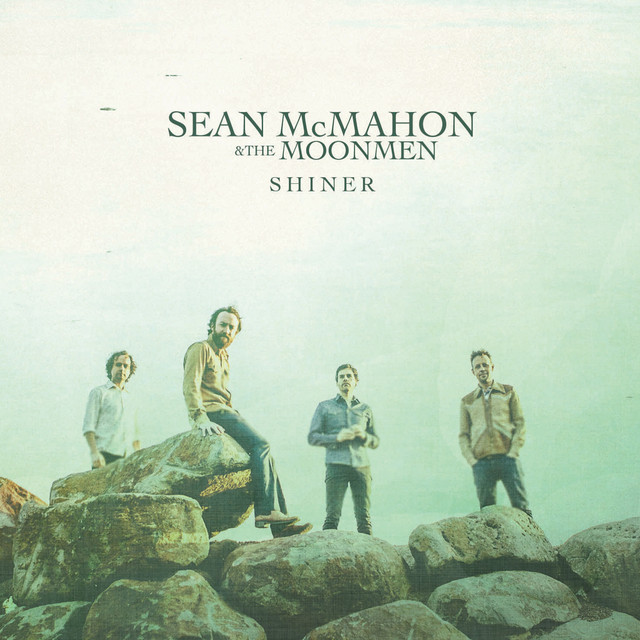 Shiner cover