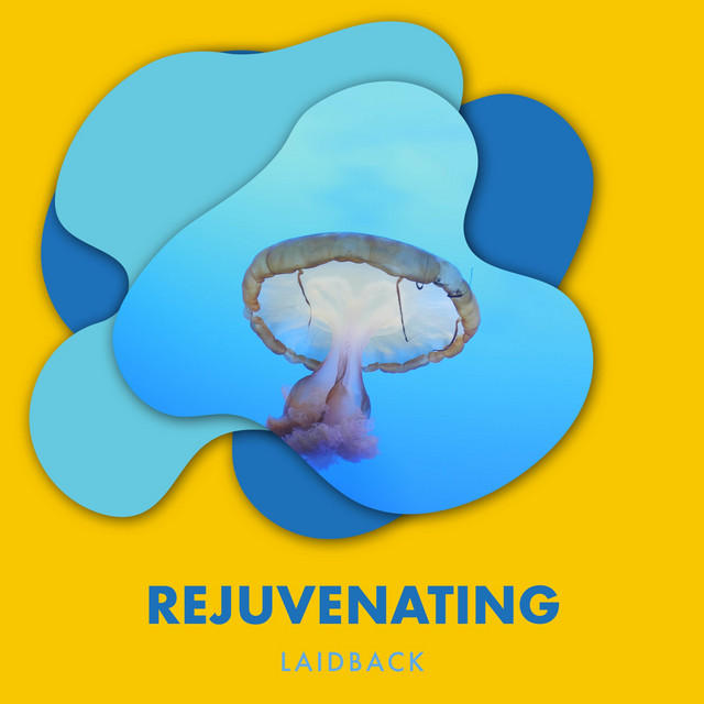 zZz Rejuvenating Laidback Ocean Music zZz - Album by Seas of Dreams ...
