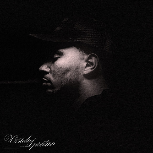 VESTIDO APRETAO cover art