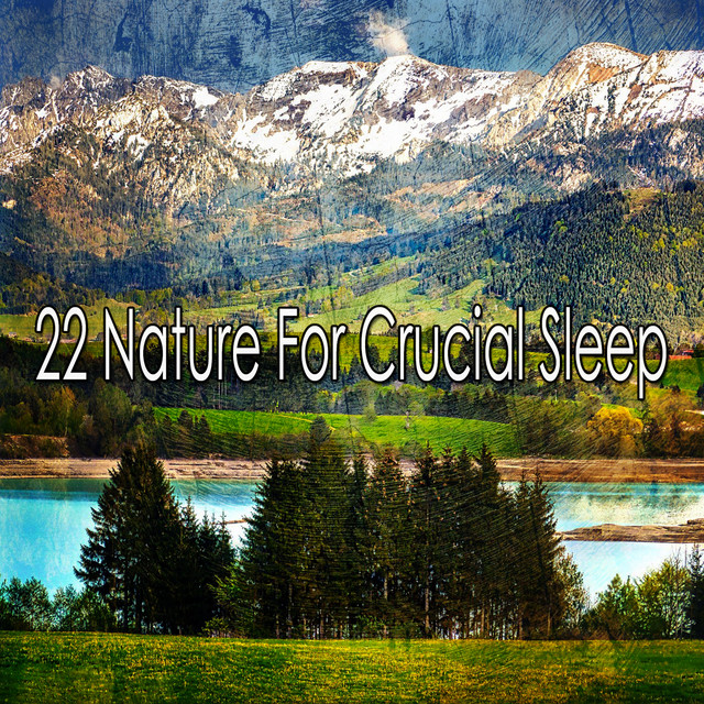 22 Nature For Crucial Sleep cover art