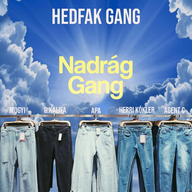 NADRÁG GANG cover art