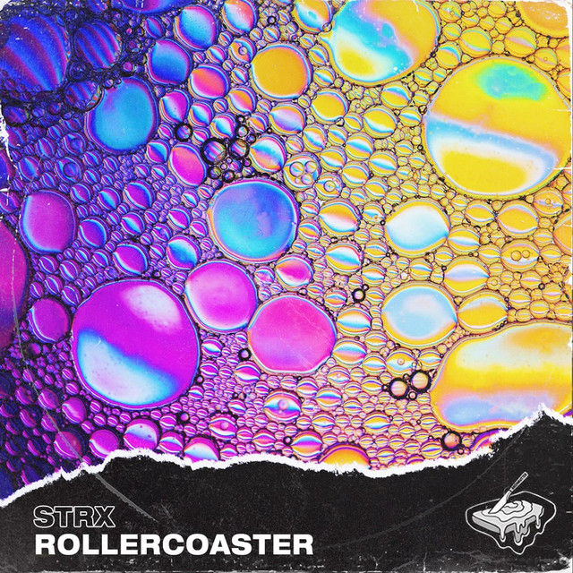 Rollercoaster cover art