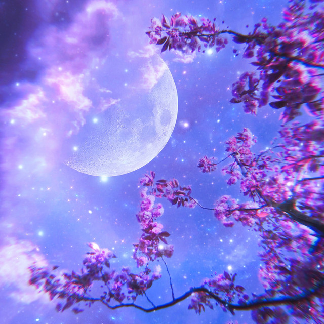Lonely Nights cover art
