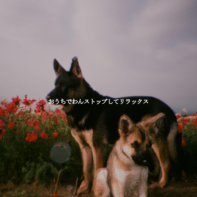 おうちでわんストップしてリラックス cover art