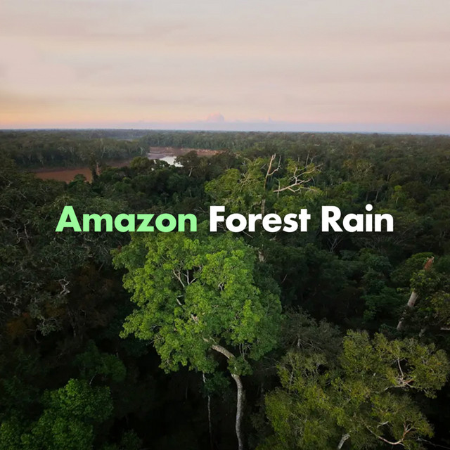 Amazon Forest Rain cover art