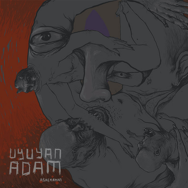 Uyuyan Adam cover art