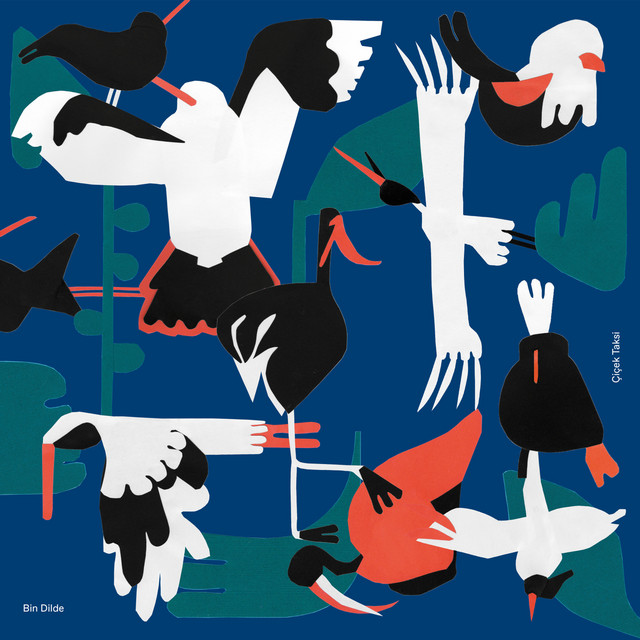 Bin Dilde cover art