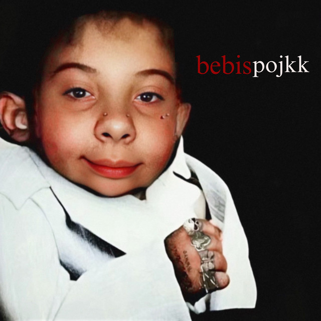 bebispojkk cover art