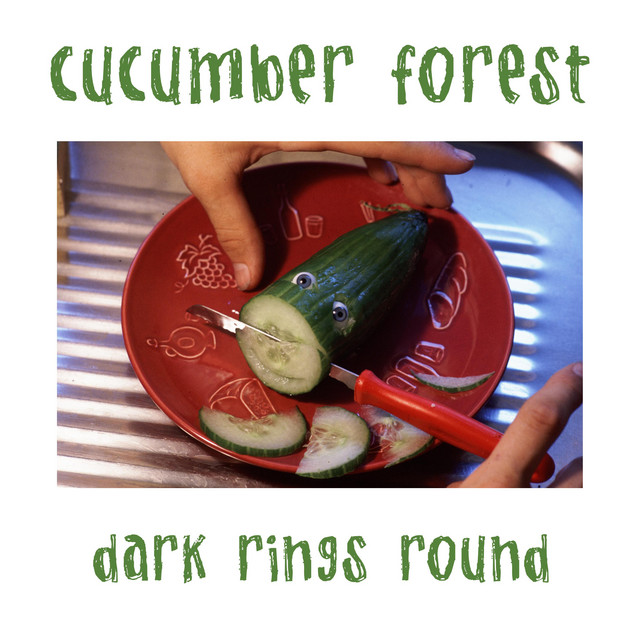Dark Rings Round cover art
