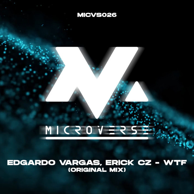 WTF (Original Mix)