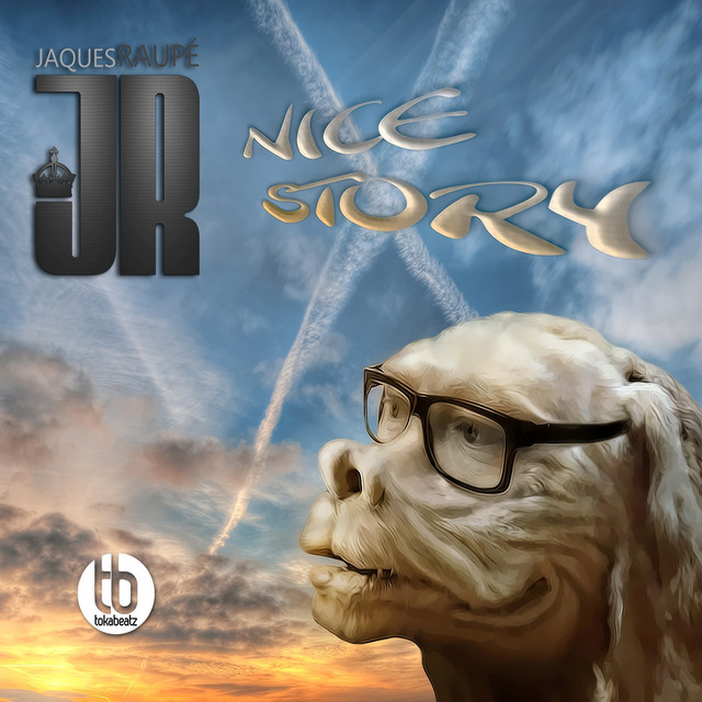 Nice Story cover art
