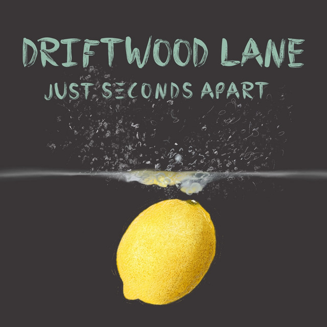 Driftwood Lane cover