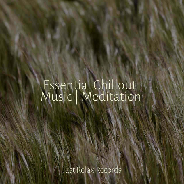Essential Chillout Music | Meditation cover art
