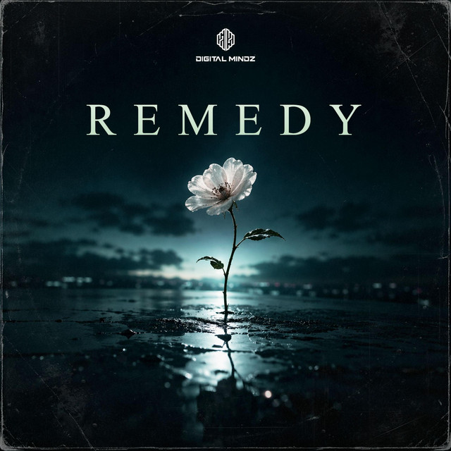 Remedy cover