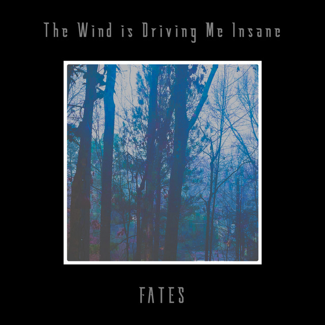 The Wind is Driving Me Insane cover art