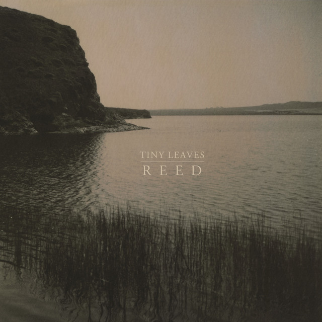 Reed cover art