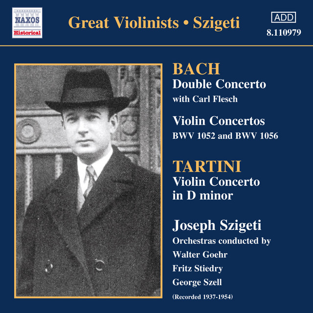 Concerto for 2 Violins in D Minor, BWV 1043: II. Largo ma non tanto