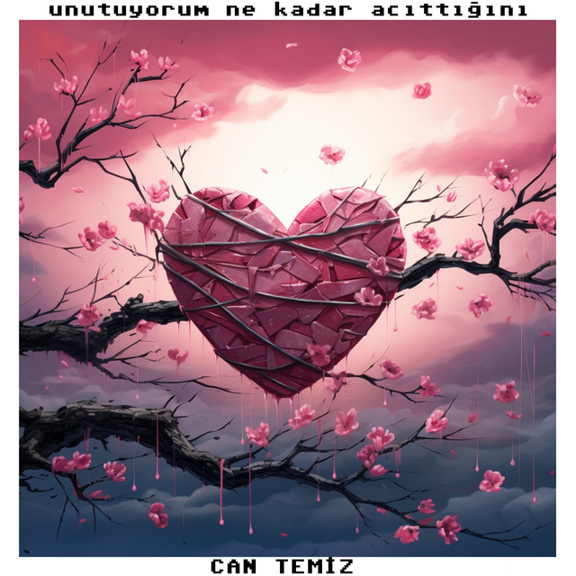 Unutuyorum Ne Kadar Acıttığını cover art
