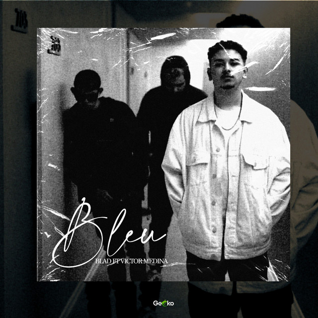 Bleu cover art