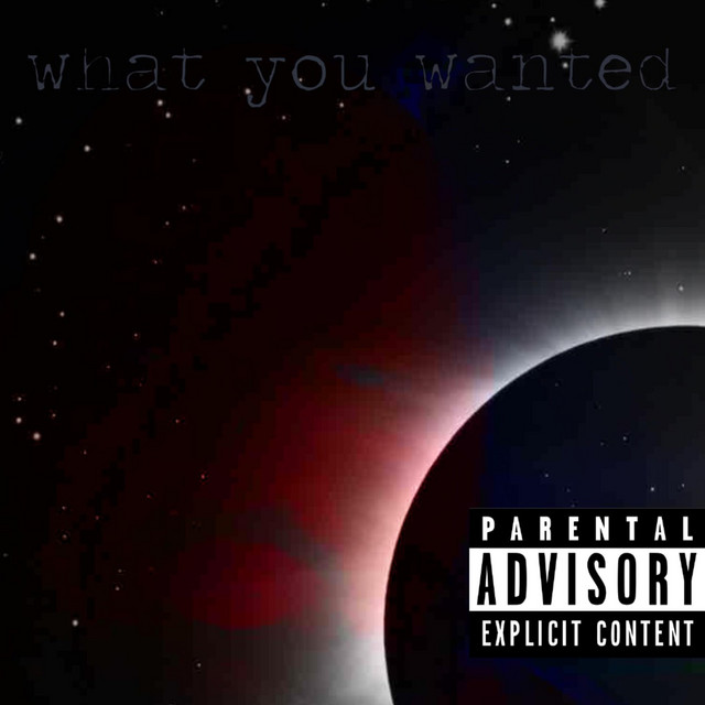 What You Wanted cover art