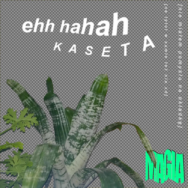 Kaseta cover art