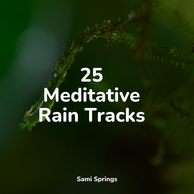 25 Loopable Rain Sounds for Meditation and Sleep - Album by Nature ...