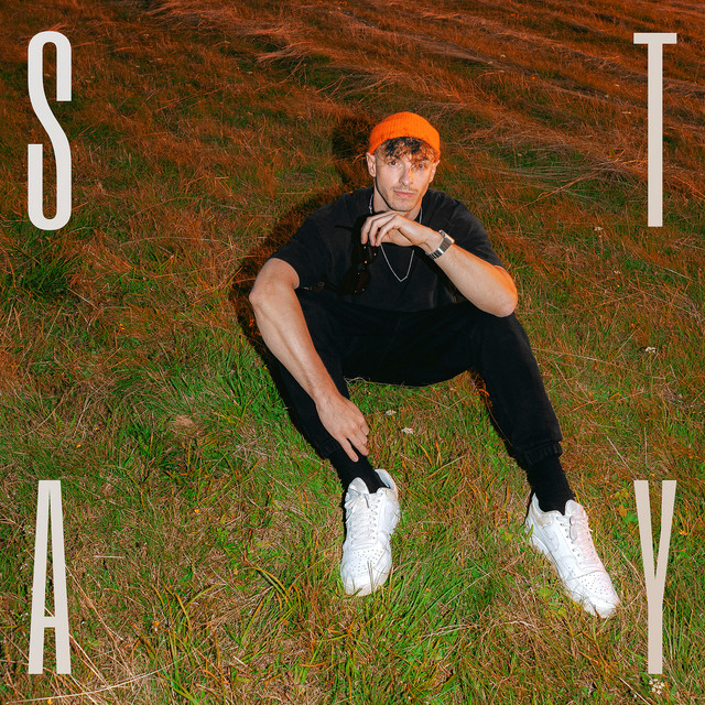 Stay cover