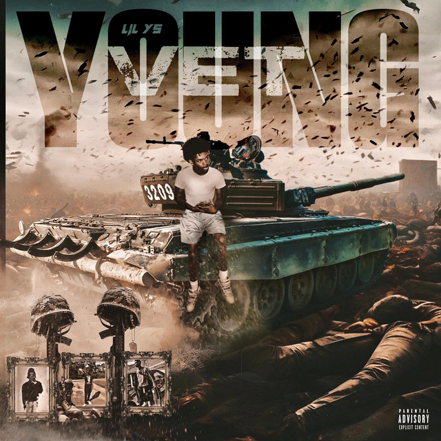 Young Vet cover art