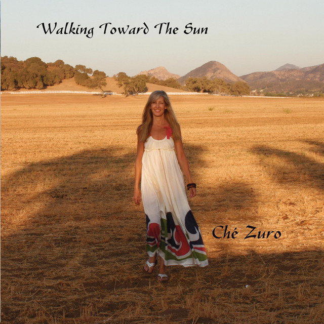 Walking Toward the Sun cover