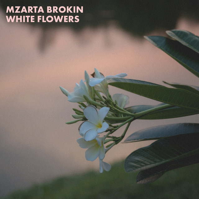 White Flowers cover