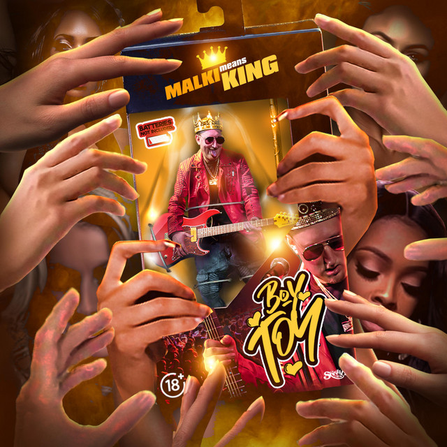 Boy Toy cover art