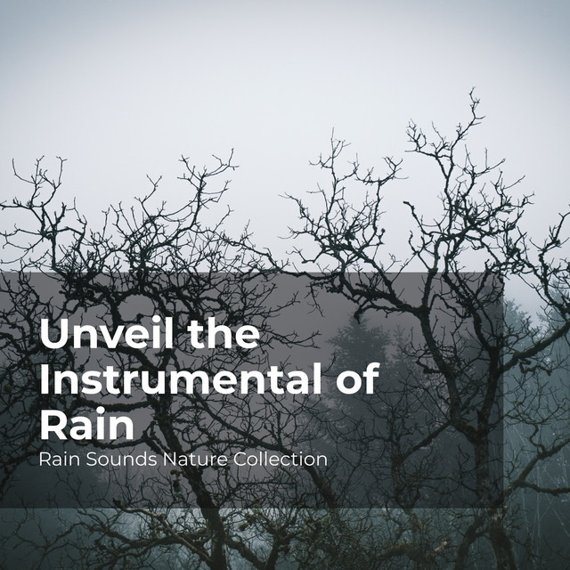 Unveil the Instrumental of Rain - Album by ASMR Rain Sounds | Spotify