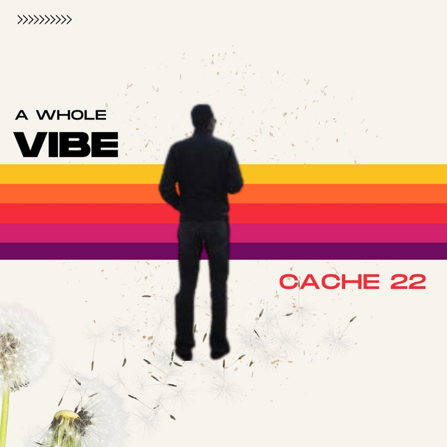 A Whole Vibe cover art